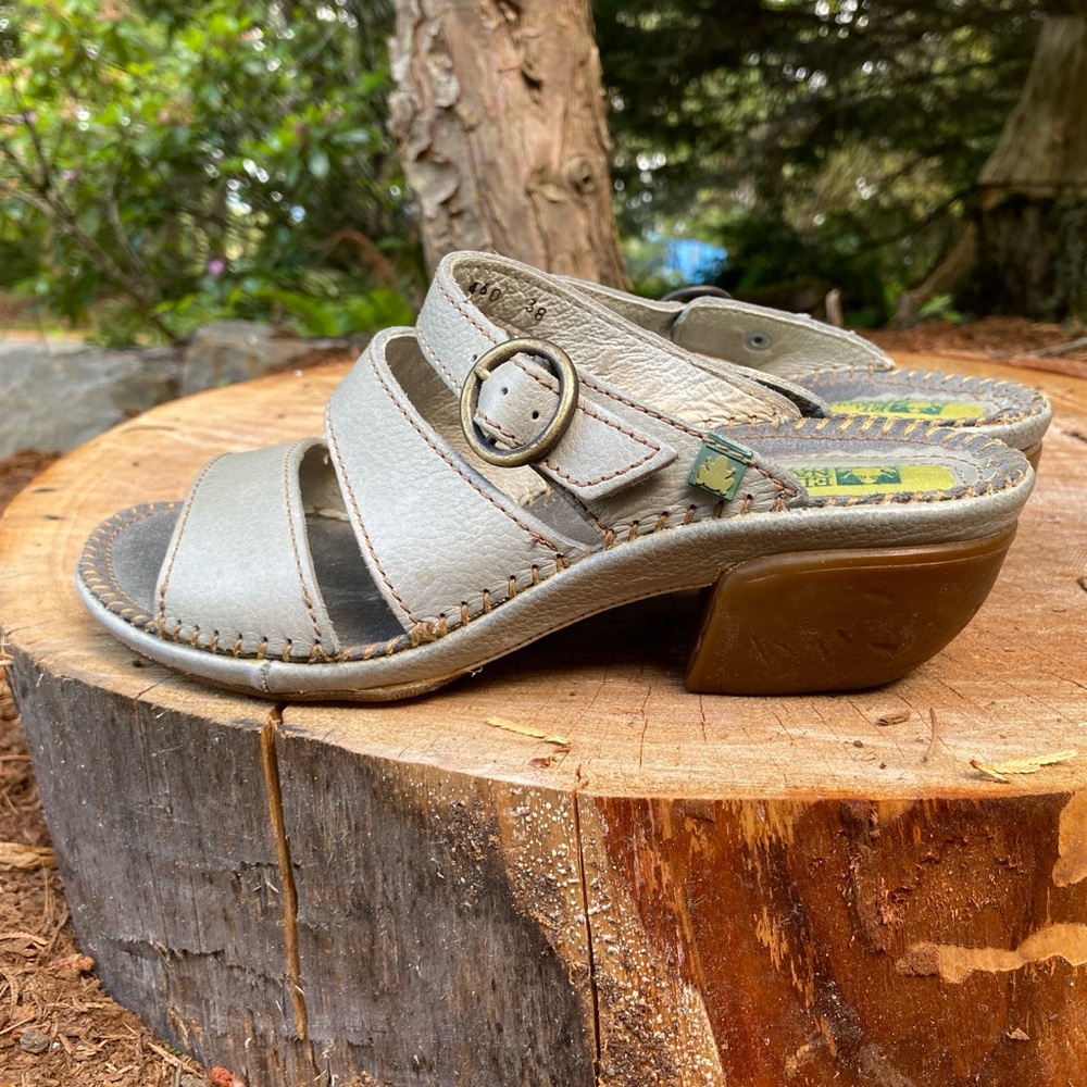 El naturalista sandal